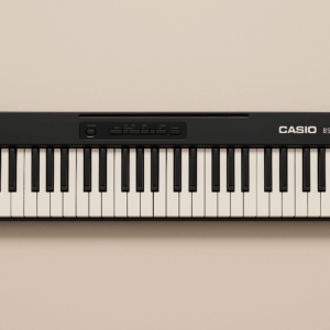 Casio エレピ B5C8-191